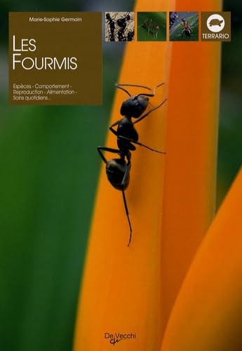 Couverture du livre  Les fourmis : espèces, comportement, reproduction, alimentation, soins quotidiens 