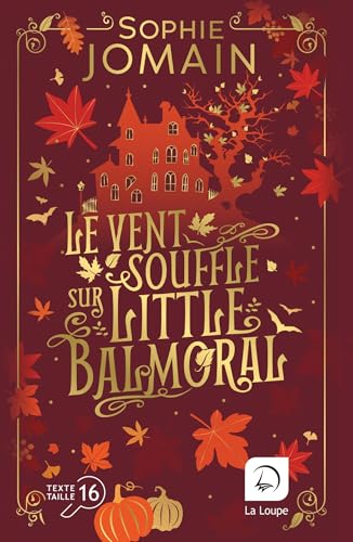 Livre 'Un Cœur Pour Noël' - Calendrier De L'Avent Littéraire - 24 Histoires - Format Poche 20,8x14 Cm