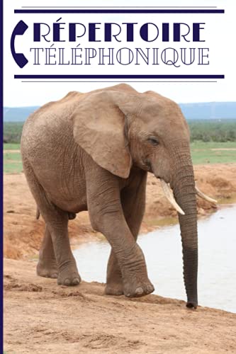 REPERTOIRE TELEPHONE: Carnet Telephonique Avec Rappel Des Anniversaires | Cadeaux Fetes Des Meres | Rose Original, Chat Noir, Fleurs & Papillon - ALPHABÉTIQUE, LEO REPERTOIRE - Livres