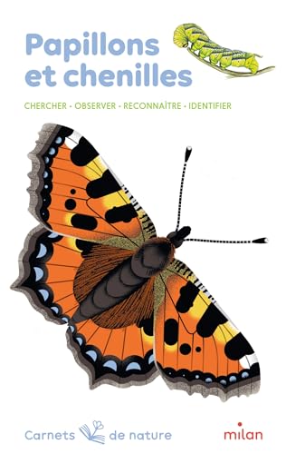 couverture de : Papillons et chenilles