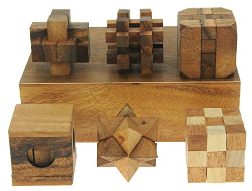 Casse-tête En Bois 3D Namesakes (x6) - Jeux De Réflexion Et Défi Intellectuel - Cadeau En Bois Massif
