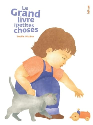 Le  grand livre des petites choses