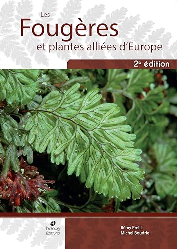 Couverture du livre Les Fougères et plantes alliées d\'Europe (2ème édition)