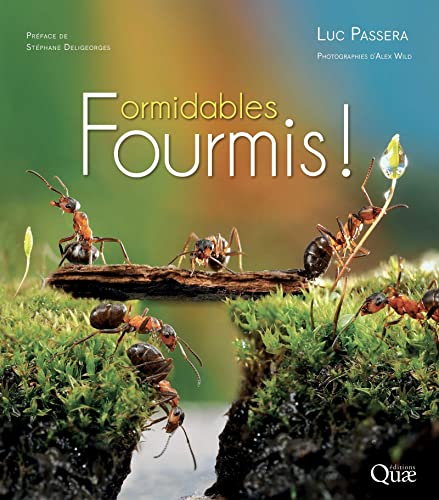 Couverture du livre Formidables fourmis !