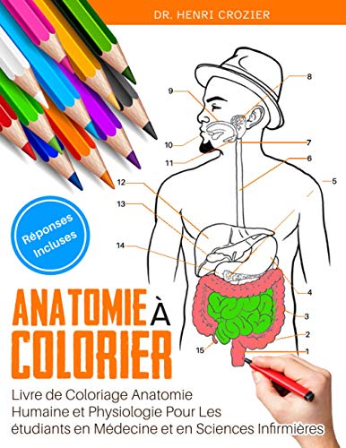 Anatomie à Colorier - Livre de Coloriage Anatomie et Physiologie ...