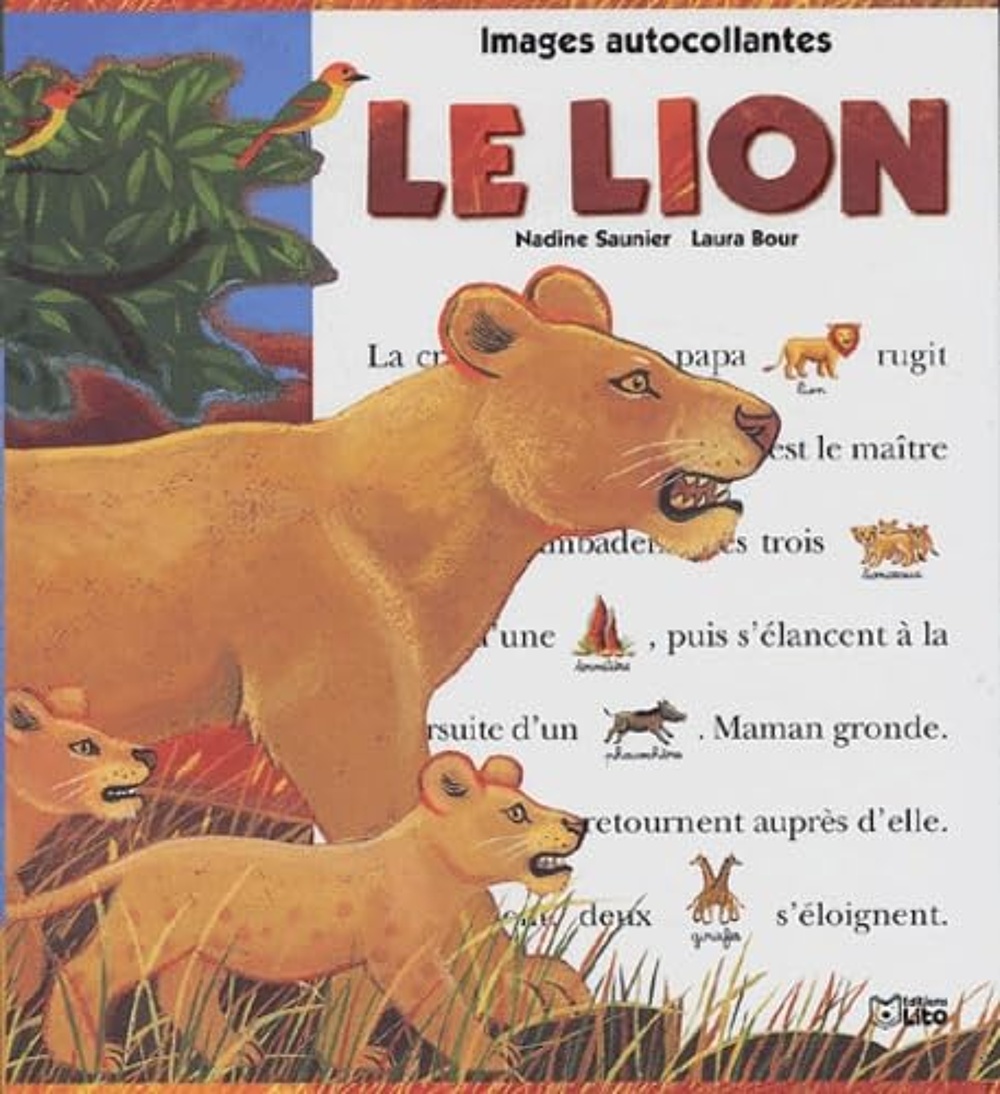 couverture de : Le lion