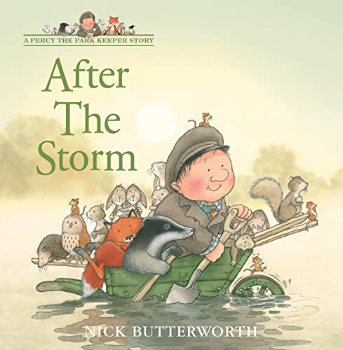 couverture de : After the storm
