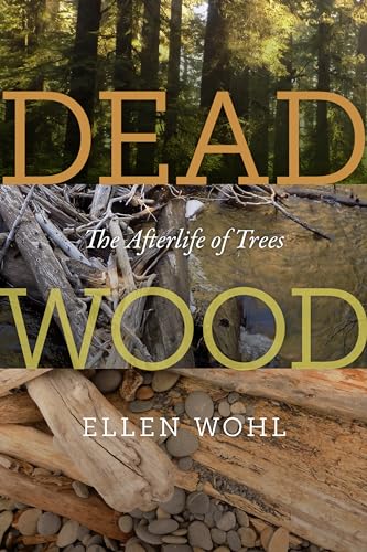 Couverture du livre Dead Wood - The Afterlife of Trees