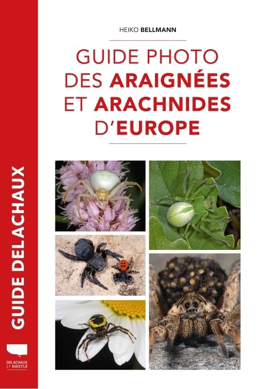 Couverture du livre Guide photo des araignées et arachnides d\'Europe