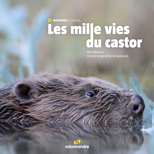 Couverture du livre Les milles vies du castor