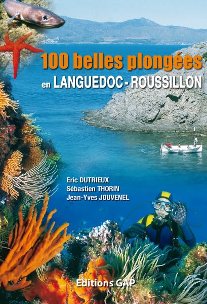 90 épaves à Marseille et dans sa région