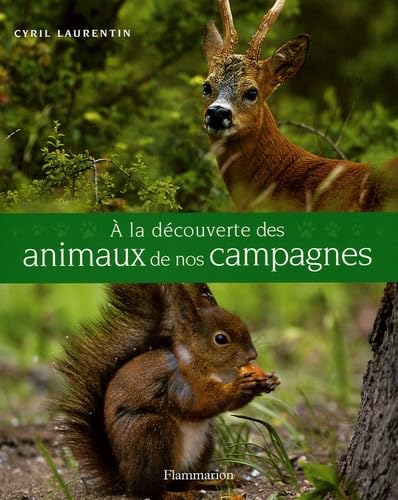 couverture de : A la d&eacute;couverte des animaux de nos campagnes