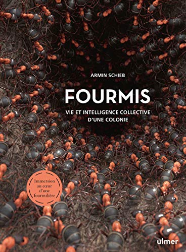 Couverture du livre Fourmis - Vie et intelligence collective d\'une colonie