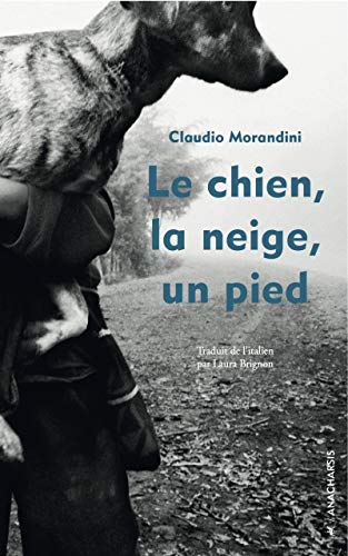 couverture de : Le chien, la neige, un pied