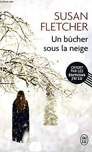 Un bûcher sous la neige