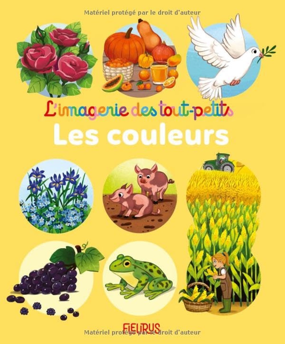 couverture de : Les couleurs