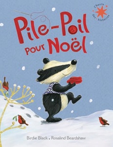 Pile-poil pour Noël