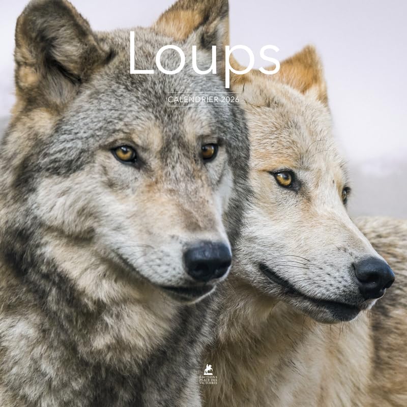 calendrier-2026-loups-les-prix-d-occasion-ou-neuf