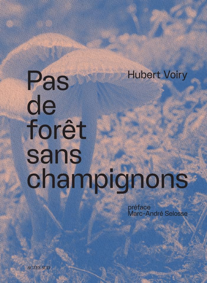 Couverture du livre Pas de forêt sans champignons